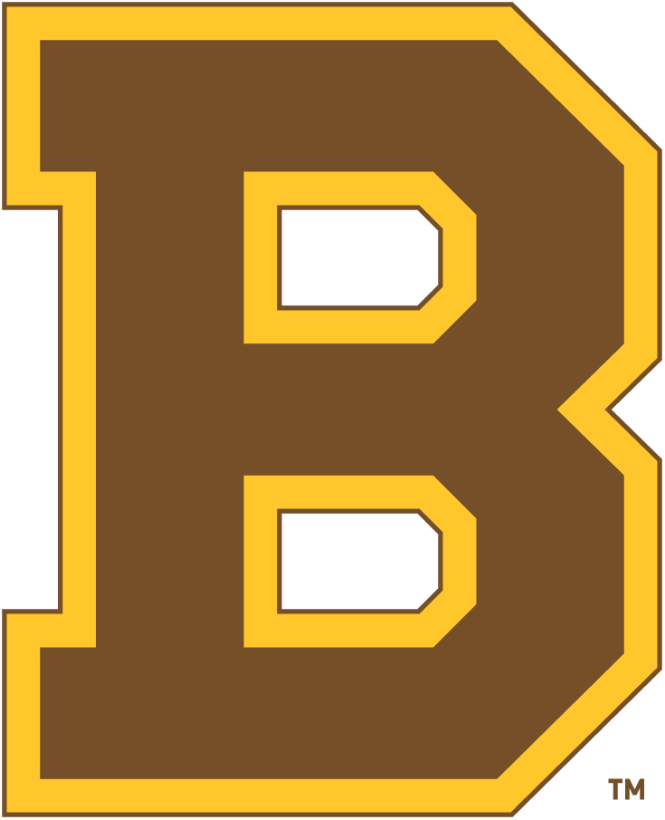 Boston Bruins 1932 33-1933 34 Primary Logo iron on paper